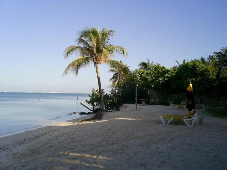 Marysol Private Beach Next To Nomads D5 Isla Mujeres Eksteriør bilde
