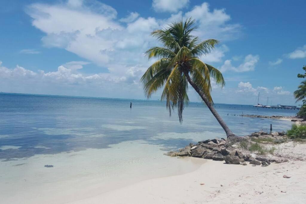Marysol Private Beach Next To Nomads D5 Isla Mujeres Eksteriør bilde